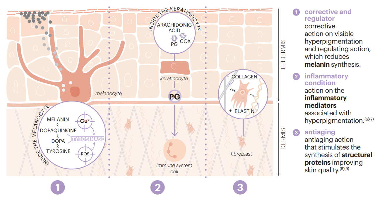 Mechanism of action